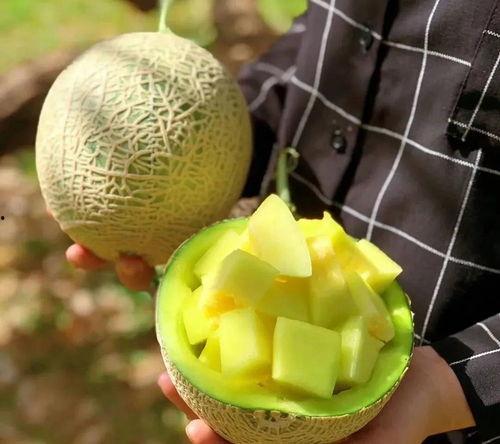 娱乐圈吃瓜壁纸图片高清,高清壁纸揭秘明星幕后生活 第3张 娱乐圈吃瓜壁纸图片高清,高清壁纸揭秘明星幕后生活 第3张