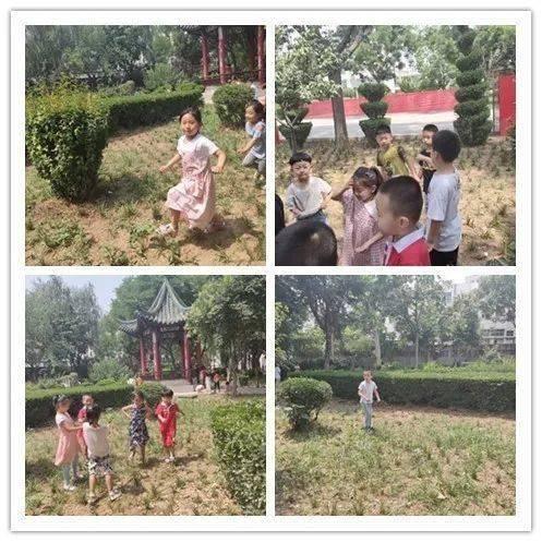 密密花园在线观看,在线观看,揭秘神秘花园的奇幻之旅 第2张 密密花园在线观看,在线观看,揭秘神秘花园的奇幻之旅 第2张