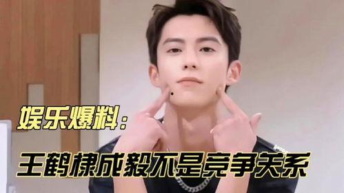 王鹤棣成毅最新八卦爆料,娱乐圈再掀波澜